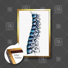 SML Tablo Omurga Ilüstrasyonu Fizyoterapi Omurga Sağlığı Çerçeveli Dikey Kanvas Tablo