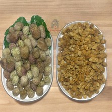 Gustolea Nature Güneşte Kurutulmuş Doğal Dut Kurusu (100 G)