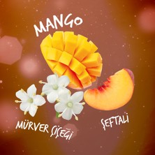 Sırma Karma Mango ve Mürver Çiçeği Aromalı Şeftalili Doğal Maden Suyu 1 L X12