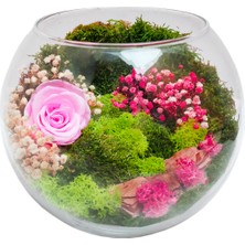 Çiçek Seli Vertical Garden Serisi Pembe Solmayan Gül & Cam Akvaryum Gül Bahçesi Hediye Çiçek Kadınlar Günü