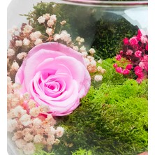 Çiçek Seli Vertical Garden Serisi Pembe Solmayan Gül & Cam Akvaryum Gül Bahçesi Hediye Çiçek Kadınlar Günü