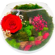 Çiçek Seli Vertical Garden Serisi Kırmızı Solmayan Gül & Cam Akvaryum Gül Bahçesi Hediye Tasarım Çiçek