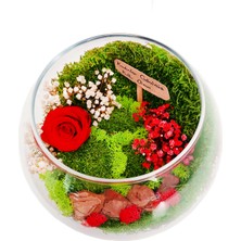 Çiçek Seli Vertical Garden Serisi Kırmızı Solmayan Gül & Cam Akvaryum Gül Bahçesi Hediye Tasarım Çiçek