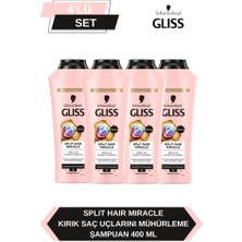 Gliss Split Hair Miracle Şampuan 400 ml x 4 Adet