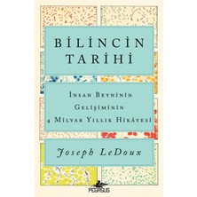 Bilincin Tarihi - İnsan Beyninin Gelişiminin 4 Milyar Yıllık Hikayesi