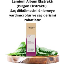 Veloute de Paris Güçlü & Sağlıklı Saç Toniği 100 Ml