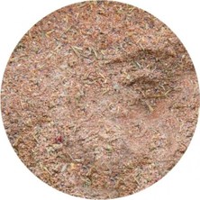 Depposite Jamaikalı Jerk Tavuk Çeşni 100 gr