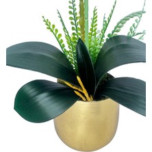 Nettenevime Yapay Çiçek Beyaz Islak Orkide Gold Metal Saksıda Seramik Saksıda Orkide 60CM