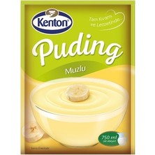 Kenton Puding Muzlu 100 Gr.