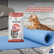 Vet Prive Kısırlaştırılmış Kedi Maması Somonlu 1,5 kg