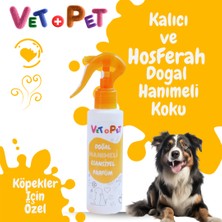 Vetpet Köpek Için Doğal Hanımeli Esansiyel Parfüm