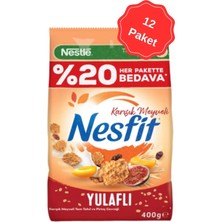 Nestle Nesfit Karışık Meyveli Gevrek %20 Bedava 400G x 12 Adet