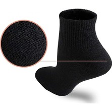 Sockingen Erkek Pamuklu 6'lı Kısa Çorap