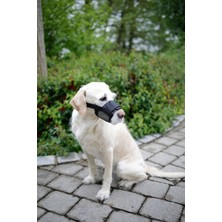 Kerbl Köpek Ağızlığı Muzzle Nylon 17 – 22 cm