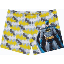 Slipstop Dark Bat Trunk Gri Çocuk Mayo