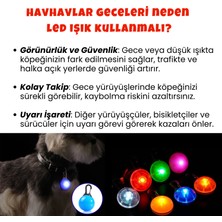 Havhav Köpek Gezdirme Seti Mor Renkli Köpek Çantası 4 Rulo Kaka Poşeti ve Köpek Tasma Ucu LED Işık