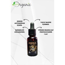 Suda Çözünebilir Propolis Damla 30 ml