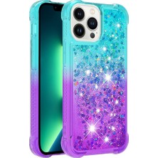 Colorful Shop IPhone 13 Pro Için Kılıf (Yurt Dışından)