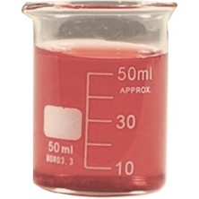 Glass Rose Cam Beher Seti 2 Adet 50 ml 2 Adet 250 ml Cam Beher