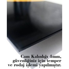 Mcem Store Aslan Hayvan Cam Tablo 4mm Dayanıklı Temperli Cam