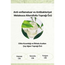 Vuivui Çay Ağacı Özü Kore Serum Sivilce Ve Akne Karşıtı Arındırıcı Sebum Dengeleyici 30 Ml