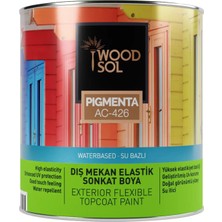 Woodsol Pigmenta Elastik Sonkat Ahşap Boyası 1000 Bianco 2.5 l