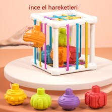 Janjonstar Çocuk Bilişsel Kavrama Eğitimi Erken Eğitim Gökkuşağı Cesele Bebek ve Yürümeye Başlayan Çocuk Kavrama Yapı Taşı Şekli Oyuncak (Yurt Dışından)