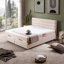 Setay Sofia Çift Kişilik Baza Başlık Letto Yatak Seti - Krem