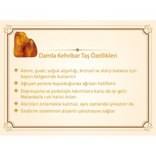 Gümüş Hediye Al Küre Kesim Koyu Kırmızı Doğal Damla Kehribar Kadın Bileklik