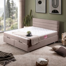 Setay Sofia Çift Kişilik Baza Başlık Letto Yatak Seti - Kahve