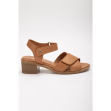 Analin Shoes Kadın  Deri Cırtlı Çapraz Önü Açık Sandalet 2691 Sandalet  Taba 39