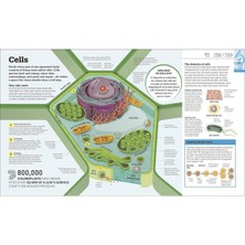 How Science Works (Ciltli)