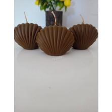 Qosrix 3'lü Kahverengi Mini Istiridye Deniz Kabuğu   Kokulu Mum Dekoratif