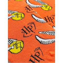 Bonapart Unisex Harry Potter Renkli Patik Çorap