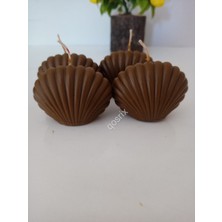 Qosrix 4'lü Kahverengi Mini Istiridye Deniz Kabuğu   Kokulu Mum Dekoratif