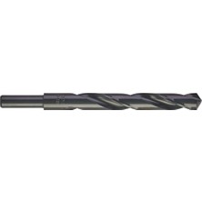 Milwaukee Metal Matkap Ucu Hss-R 13,5x 160 mm T4932373318