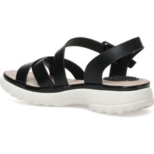 Nine West Abılanıel 2fx Siyah Kadın Comfort Sandalet