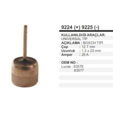 Parçafix Bosch Tip Armut - Diot (5 Adet) 504629986