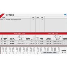 Güneş Sibop Gaydı G0279 In 8 Ex 8 P206 P306 P307 P406 2.0 16V 022125 Gold
