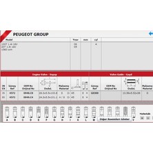 Güneş Sibop Gaydı G0300 Et3 Motor C3 C2 P106 P207 1.4-16V 4265699 Gold