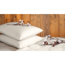 Home Lines 2 Adet Premium Silikon Yastık Antialerjik