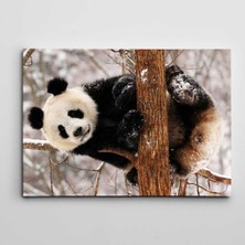Dekolata Sevimli Panda Kanvas Tablo