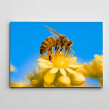 Dekolata Arı ve Çiçek Kanvas Tablo