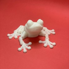 NBShop 3D Hareketli Kurbağa Figürlü Oyuncak - Beyaz