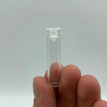 Labshop41 2 ml Mini Test Şişesi , 2 cc Plastik Tıpalı Cam Şişe , Test Şişesi x 20 Adet