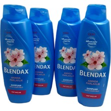 Blendax Kiraz Çiçeği Özlü Şampuan 500 ml x 4 Adet