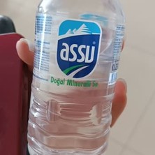 Assu 250 ml Pet Su 250ML*24ADET