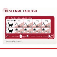 Royal Canin® Fit 32 Yetişkin Kedi Maması 400 gr x 2 Adet