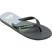 Quiksilver MOLOKAI STRIPE