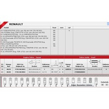 Güneş Sibop Gaydı G0954 R11 Flash 8V 7701452333 Gold